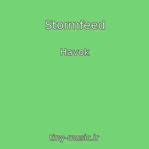 کاور آهنگ Stormfeed از Havok