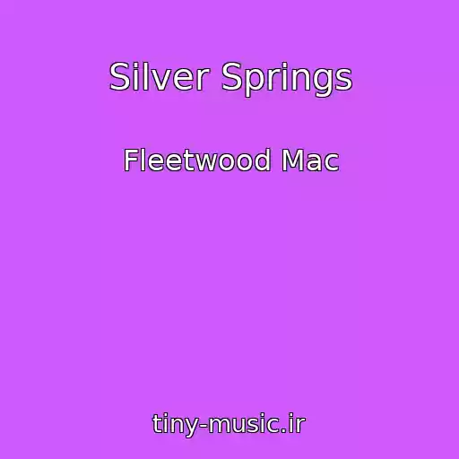 کاور آهنگ Silver Springs از Fleetwood Mac