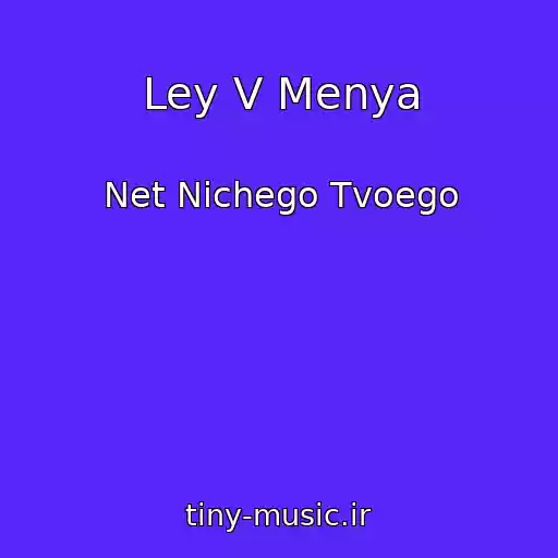 کاور آهنگ Ley V Menya از Net Nichego Tvoego