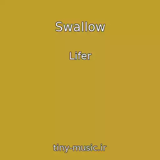 کاور آهنگ Swallow از Lifer