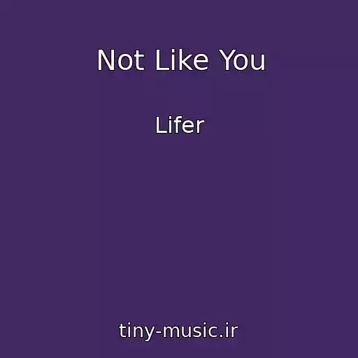 کاور آهنگ Not Like You از Lifer