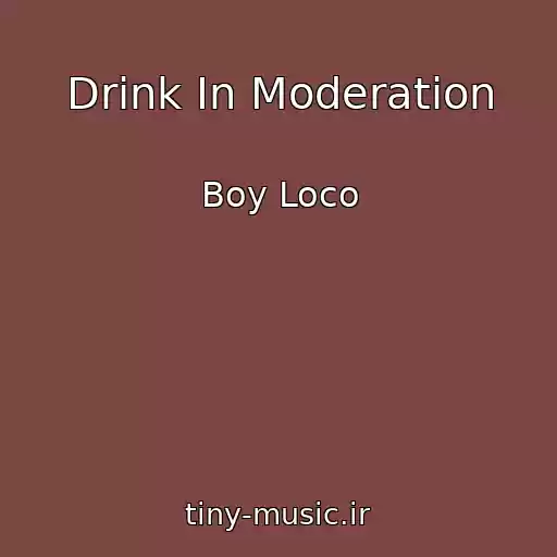 کاور آهنگ Drink In Moderation از Boy Loco