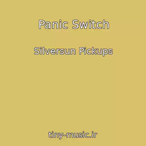 کاور آهنگ Panic Switch از Silversun Pickups
