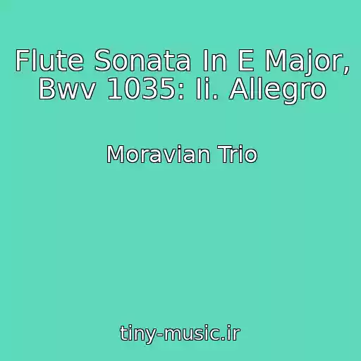 کاور آهنگ Flute Sonata In E Major, Bwv 1035: Ii. Allegro از Moravian Trio
