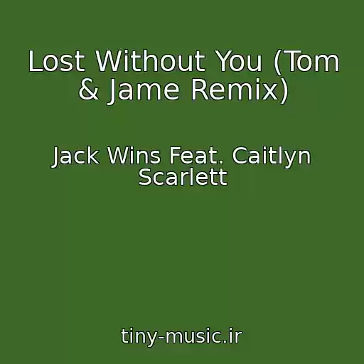 کاور آهنگ Lost Without You (Tom & Jame Remix) از Jack Wins Feat. Caitlyn Scarlett