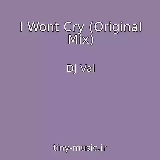 کاور آهنگ I Wont Cry (Original Mix) از Dj Val