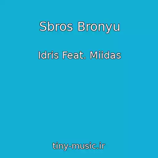 کاور آهنگ Sbros Bronyu از Idris Feat. Miidas