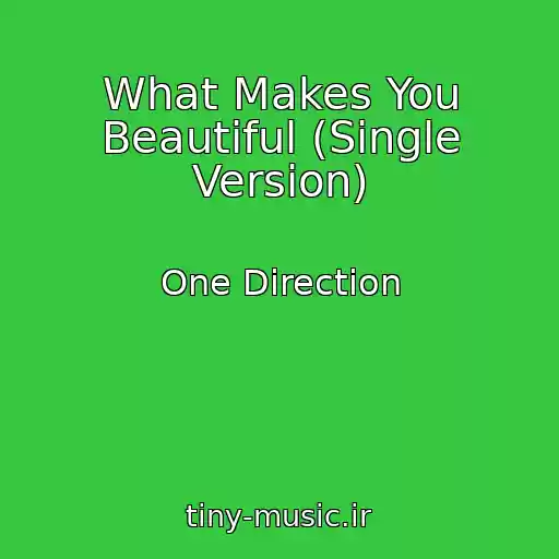 کاور آهنگ What Makes You Beautiful (Single Version) از One Direction