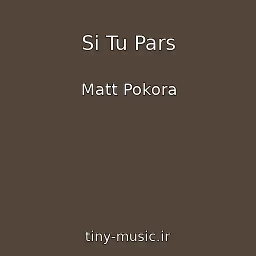 کاور آهنگ Si Tu Pars از Matt Pokora