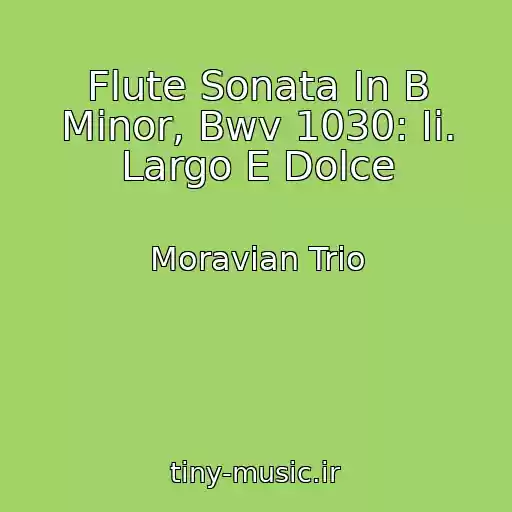 کاور آهنگ Flute Sonata In B Minor, Bwv 1030: Ii. Largo E Dolce از Moravian Trio