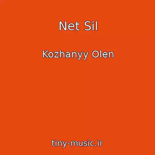 کاور آهنگ Net Sil از Kozhanyy Olen