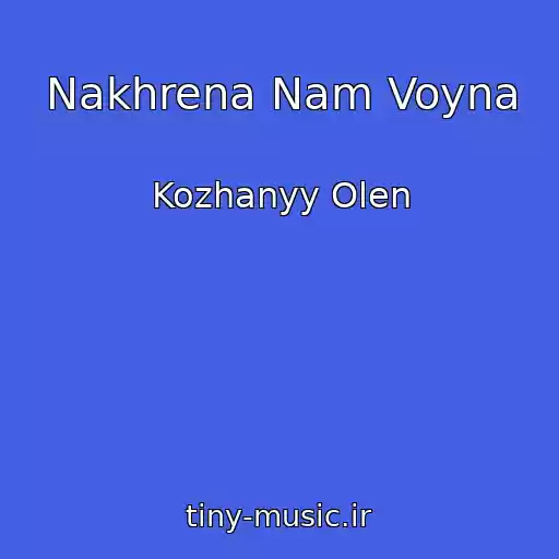 کاور آهنگ Nakhrena Nam Voyna از Kozhanyy Olen