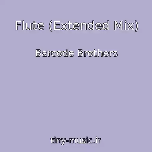 کاور آهنگ Flute (Extended Mix) از Barcode Brothers