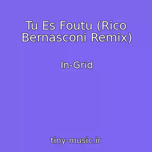 کاور آهنگ Tu Es Foutu (Rico Bernasconi Remix) از In-Grid