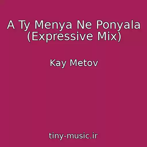 کاور آهنگ A Ty Menya Ne Ponyala (Expressive Mix) از Kay Metov