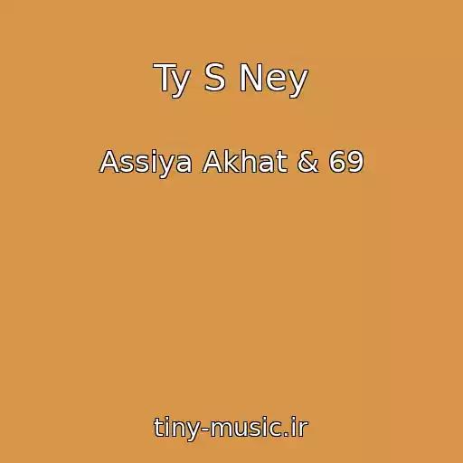 کاور آهنگ Ty S Ney از Assiya Akhat & 69