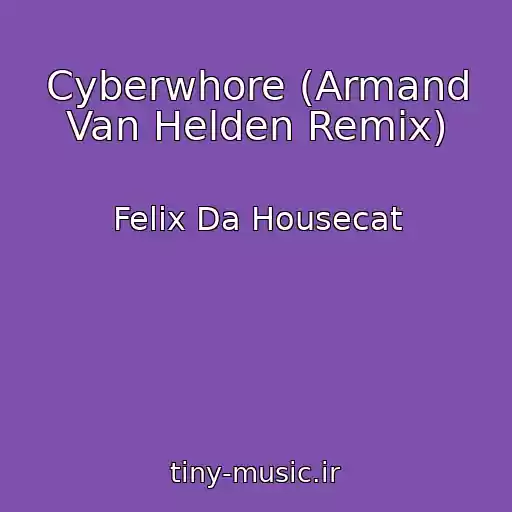 کاور آهنگ Cyberwhore (Armand Van Helden Remix) از Felix Da Housecat