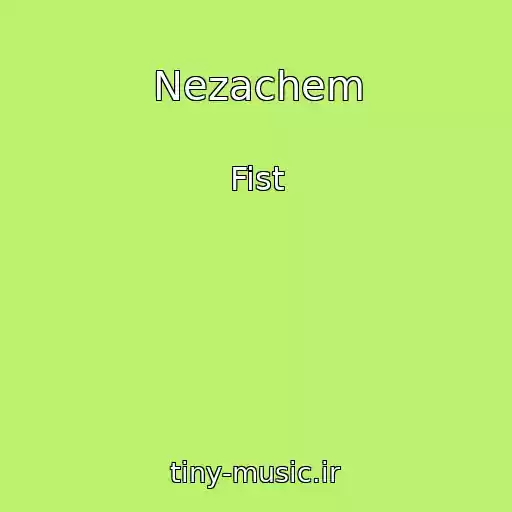 کاور آهنگ Nezachem از Fist