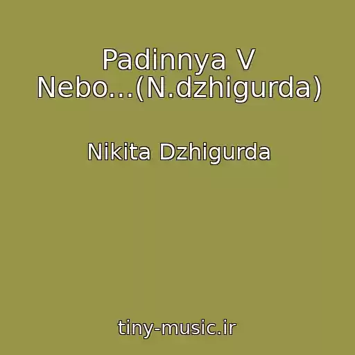 کاور آهنگ Padinnya V Nebo...(N.dzhigurda) از Nikita Dzhigurda