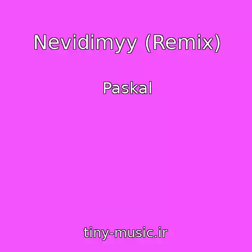 کاور آهنگ Nevidimyy (Remix) از Paskal