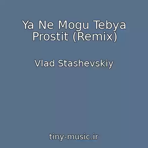 کاور آهنگ Ya Ne Mogu Tebya Prostit (Remix) از Vlad Stashevskiy