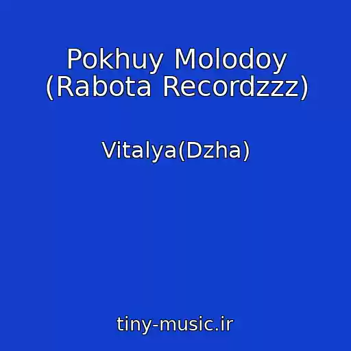 کاور آهنگ Pokhuy Molodoy (Rabota Recordzzz) از Vitalya(Dzha)
