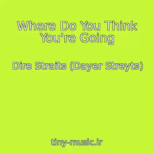 کاور آهنگ Where Do You Think You're Going از Dire Straits (Dayer Streyts)