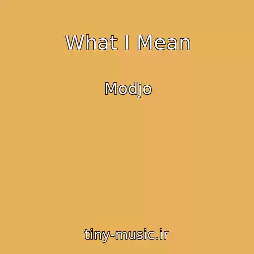 کاور آهنگ What I Mean از Modjo