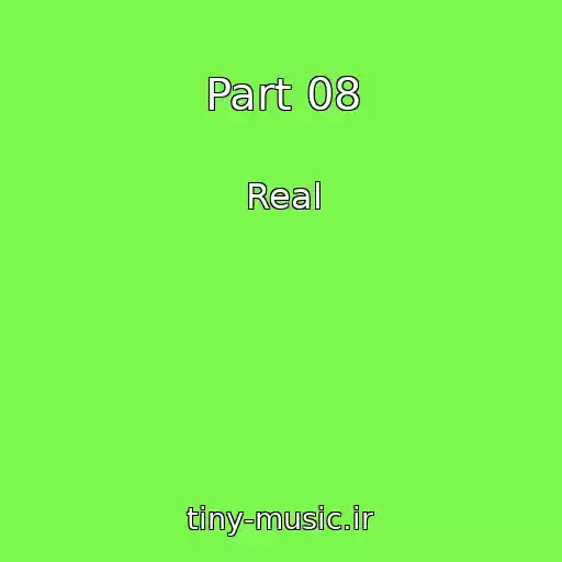 کاور آهنگ Part 08 از Real