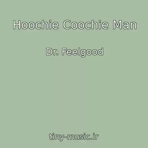 کاور آهنگ Hoochie Coochie Man از Dr. Feelgood