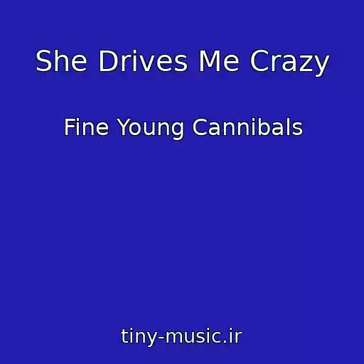 کاور آهنگ She Drives Me Crazy از Fine Young Cannibals