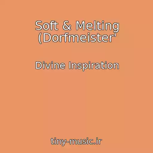 کاور آهنگ Soft & Melting (Dorfmeister' از Divine Inspiration