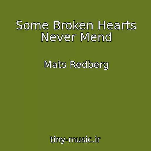کاور آهنگ Some Broken Hearts Never Mend از Mats Redberg