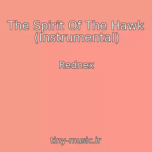 کاور آهنگ The Spirit Of The Hawk (Instrumental) از Rednex