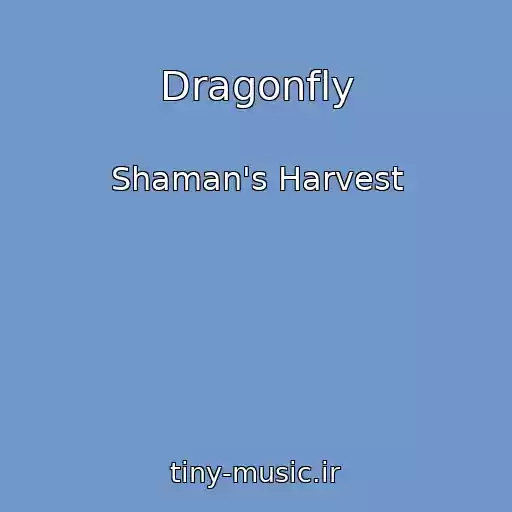 کاور آهنگ Dragonfly از Shaman's Harvest