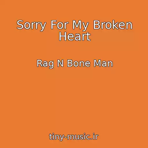 کاور آهنگ Sorry For My Broken Heart از Rag N Bone Man