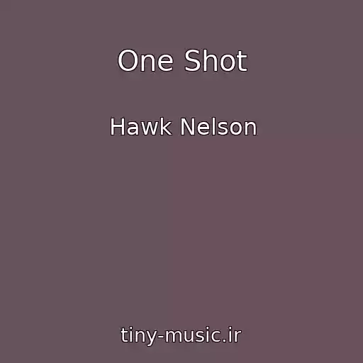 کاور آهنگ One Shot از Hawk Nelson