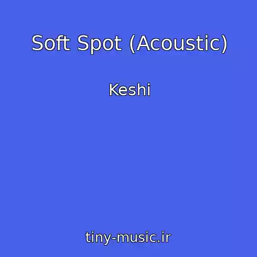 کاور آهنگ Soft Spot (Acoustic) از Keshi