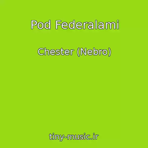 کاور آهنگ Pod Federalami از Chester (Nebro)