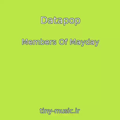 کاور آهنگ Datapop از Members Of Mayday
