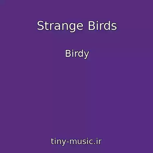 کاور آهنگ Strange Birds از Birdy