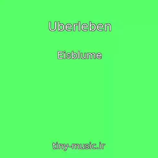 کاور آهنگ Uberleben از Eisblume