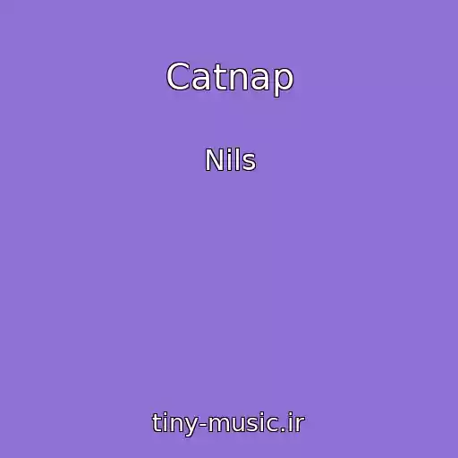 کاور آهنگ Catnap از Nils