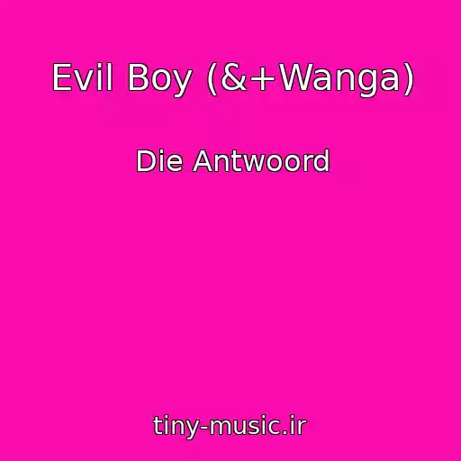 کاور آهنگ Evil Boy (&+Wanga) از Die Antwoord