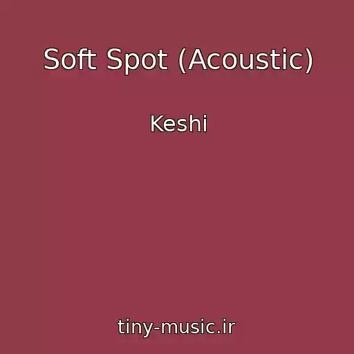 کاور آهنگ Soft Spot (Acoustic) از Keshi