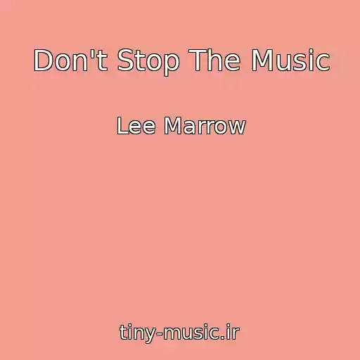 کاور آهنگ Don't Stop The Music از Lee Marrow