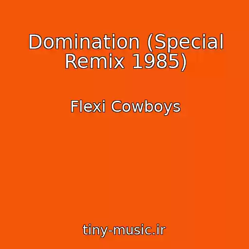 کاور آهنگ Domination (Special Remix 1985) از Flexi Cowboys