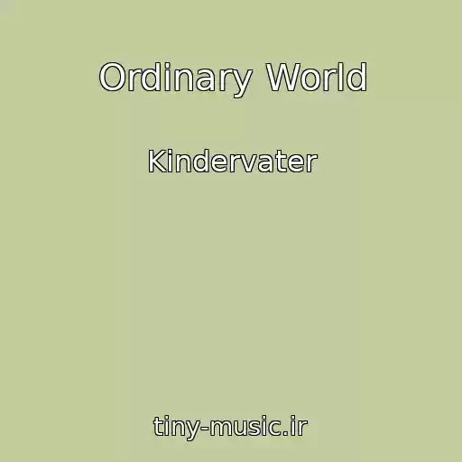 کاور آهنگ Ordinary World از Kindervater