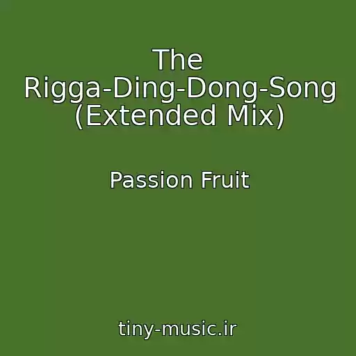 کاور آهنگ The Rigga-Ding-Dong-Song (Extended Mix) از Passion Fruit