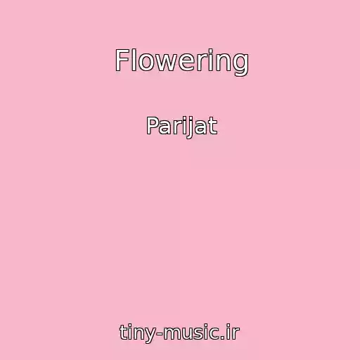 کاور آهنگ Flowering از Parijat
